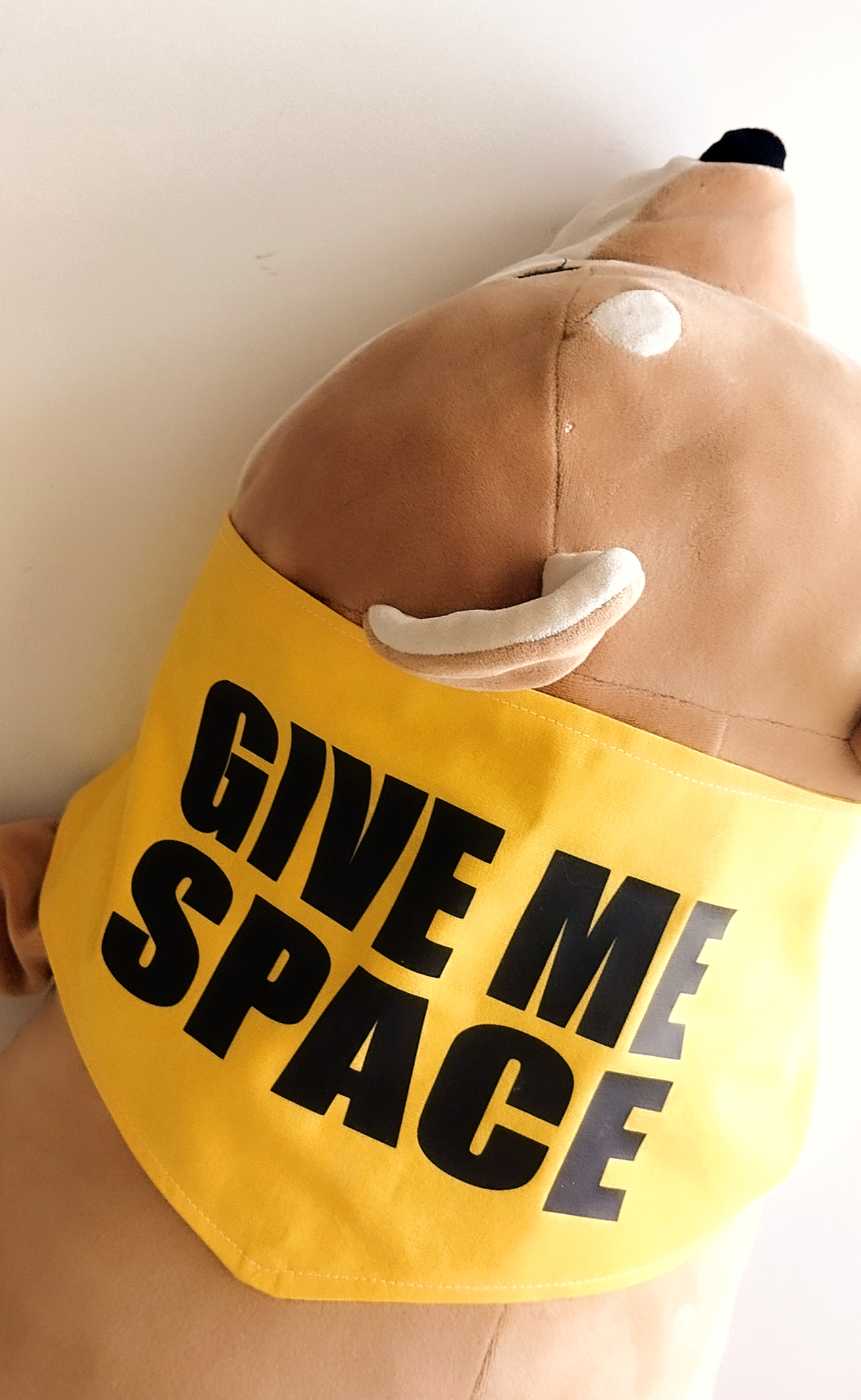 Nervous Dog Yellow Bandana - Give Me Space - Image 3