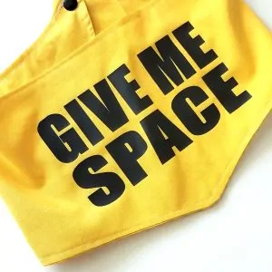 Yellow Dog Bandana says Give me space