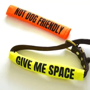 Hi-Vis Dog Collar Sleeve Yellow and Orange " GIVE ME SPACE" " NOT DOG FRIENDLY"