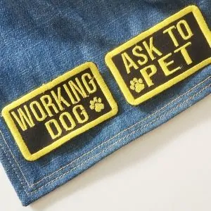 Embroidered WORKING DOG , ASK TO PET iron-on patch in bright yellow on black twill, displayed on denim bandana
