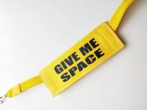 Yellow leash sleeve with "GIVE ME SPACE " bold black text