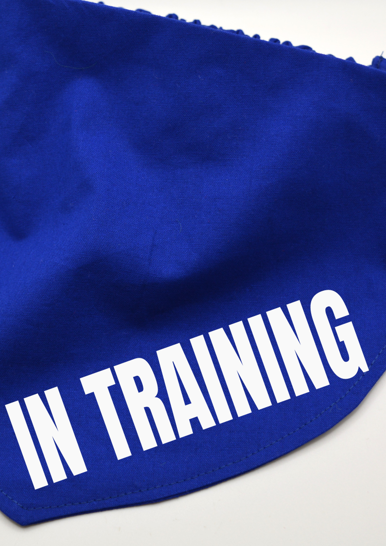 Personalised Dog Scrunchie Bandana with Safety Buckle - Image 3