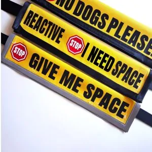 Personalised Dog Lead Sleeve | Reactive Dog Lead Cover | Custom Dog Lead Wrap