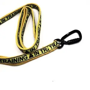 “In Training” Yellow Dog Lead – 130cm, Auto‑Lock Swivel Carabiner, Control Handle (Yellow)